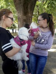 IMG_20171004_131053.jpg